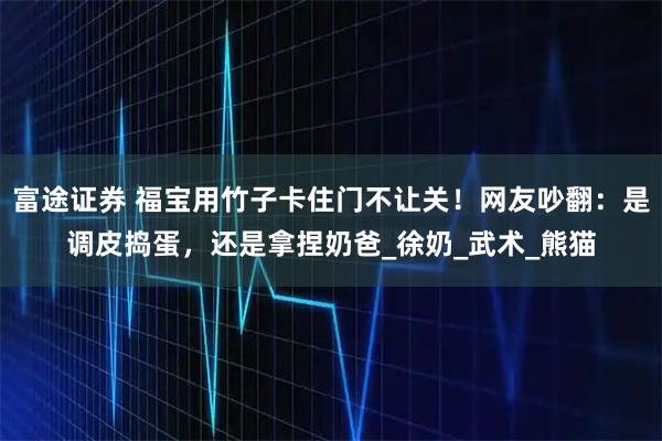 富途证券 福宝用竹子卡住门不让关!网友吵翻:是调皮捣蛋,还是拿捏奶爸_徐奶_武术_熊猫