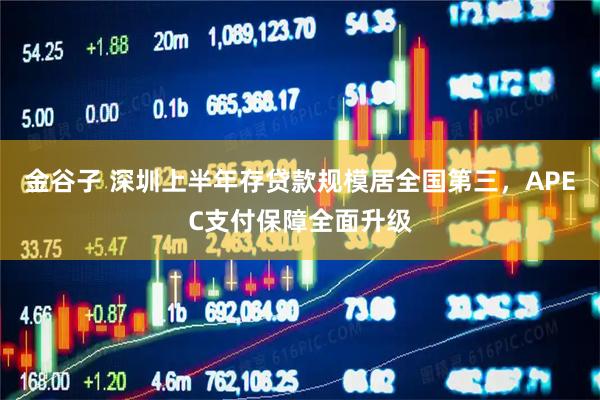 金谷子 深圳上半年存贷款规模居全国第三，APEC支付保障全面升级